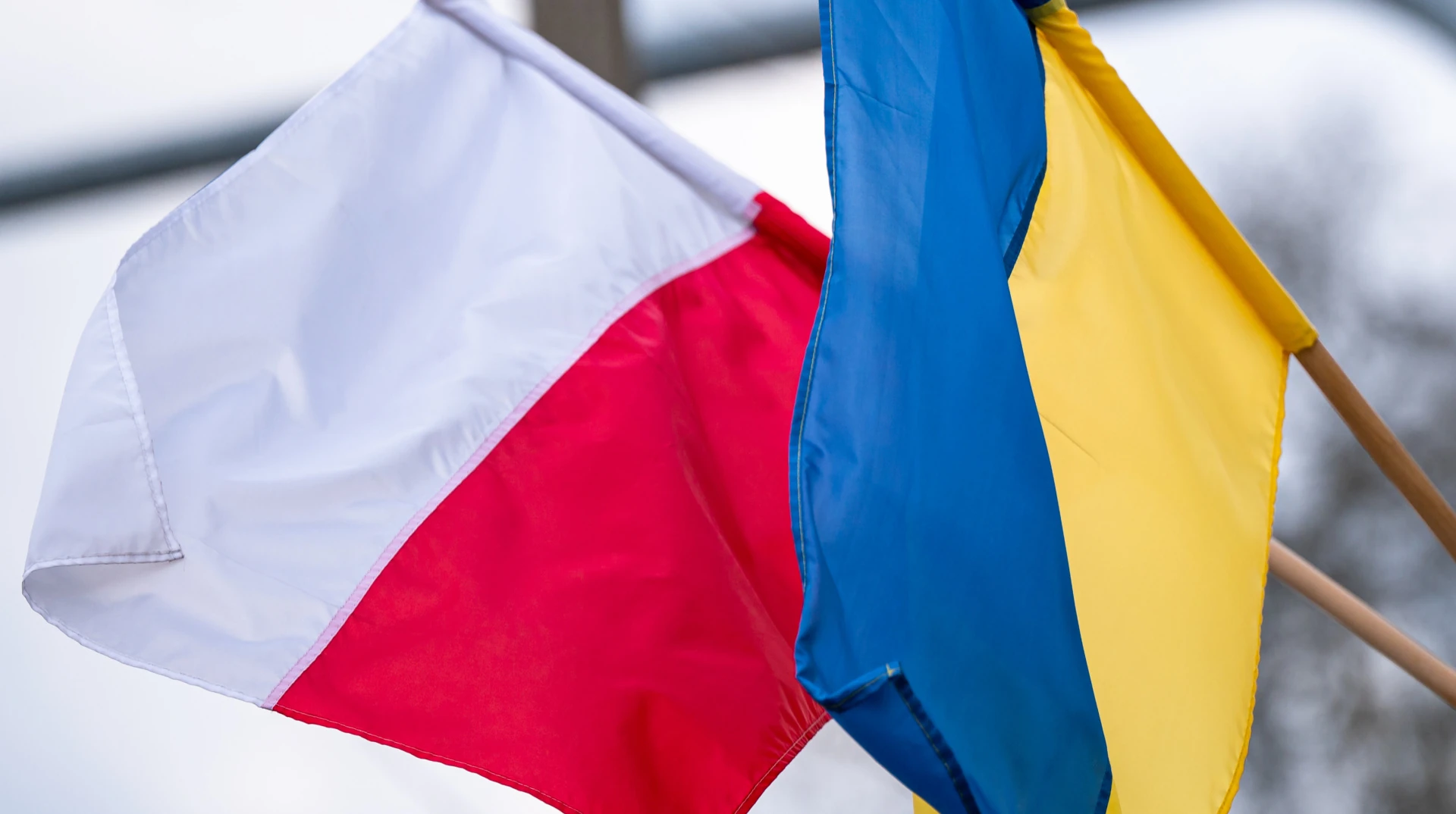 Підтверджена хронологія: ексгумаційні дослідження на Голосківському кладовищі у Львові