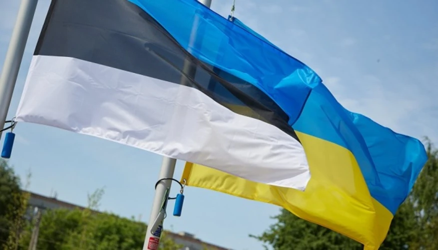 Естонія підтвердила 340 тисяч євро Україні на зимову підготовку